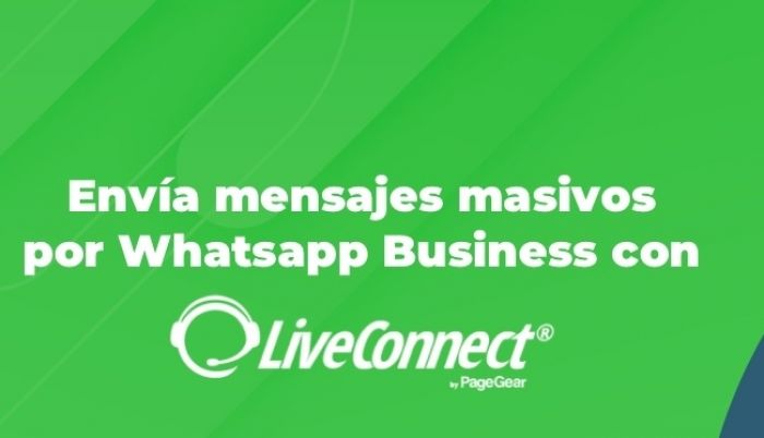 Envía mensajes masivos por Whatsapp Business con LiveConnect